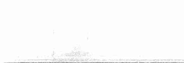 buřňák černokřídlý - ML167513
