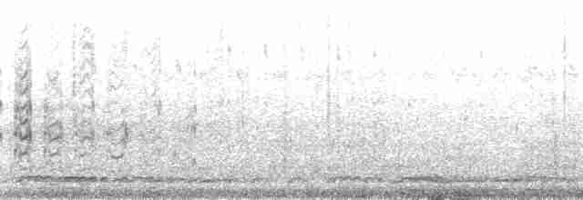 faeton pruhokřídlý (ssp. lepturus) - ML167517