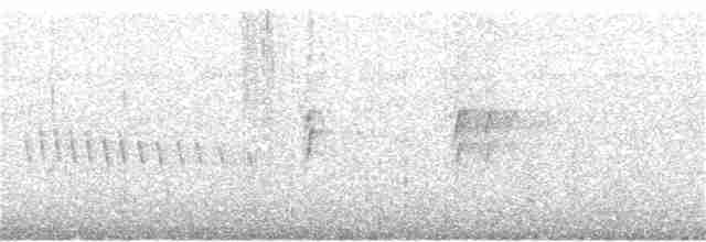 סנונית רפתות - ML167564711