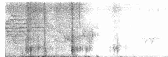 Hermit Thrush (faxoni/crymophilus) - ML167580301