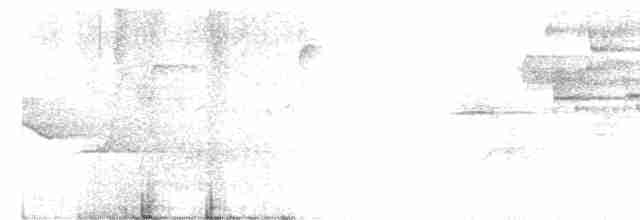 Hermit Thrush (faxoni/crymophilus) - ML167580311