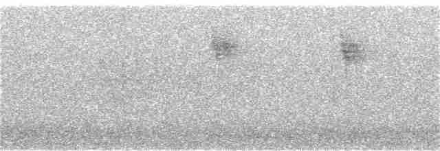 Gray Wagtail - ML167595331