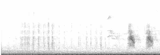 ML167623891 visualization