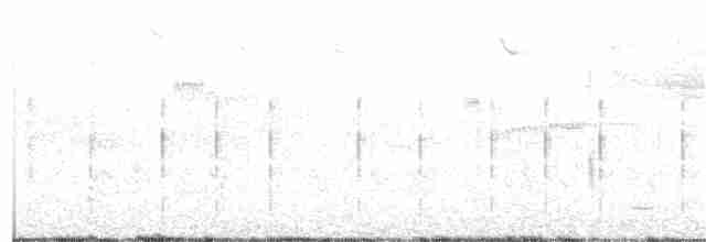 Büyük Çil Yelvesi - ML167634881