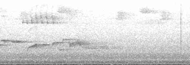Маскаренская райская мухоловка - ML167653