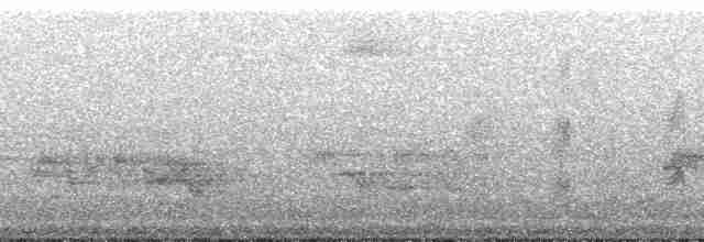 Маскаренская райская мухоловка - ML167657