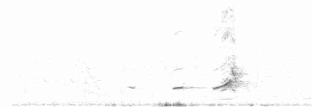Crested Bobwhite - ML167686851