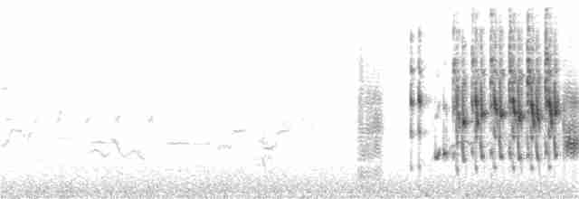 Marsh Wren (palustris Group) - ML167700341