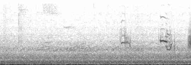 White Tern (Pacific) - ML167703
