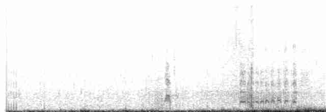 Белохвостая куропатка - ML167715441