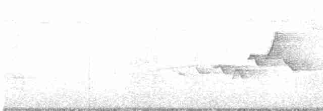 Hooded Warbler - ML167718071