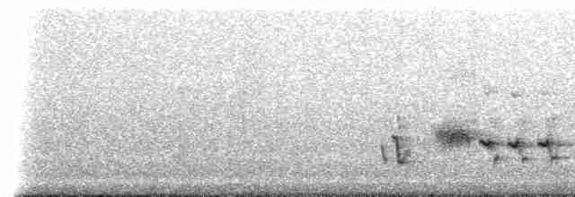 Rodrigues Warbler - ML167753