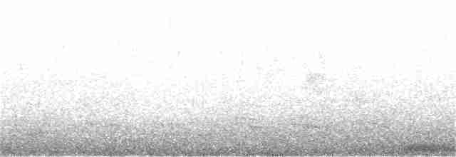 תוכי-ים אטלנטי - ML167766261