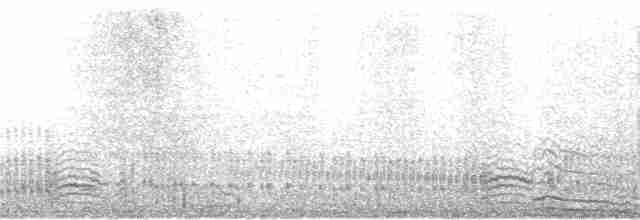 Sturmwellenläufer (pelagicus) - ML167773141