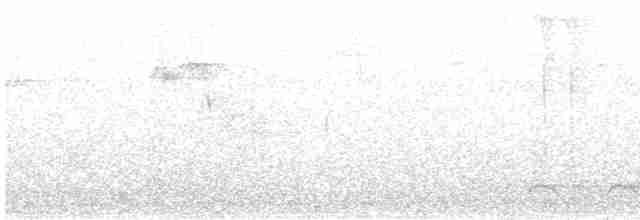 White-eyed Vireo - ML167795551