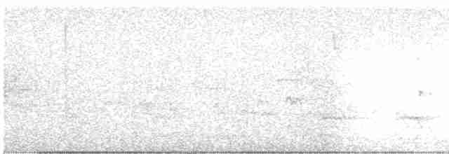 White-eyed Vireo - ML167913511