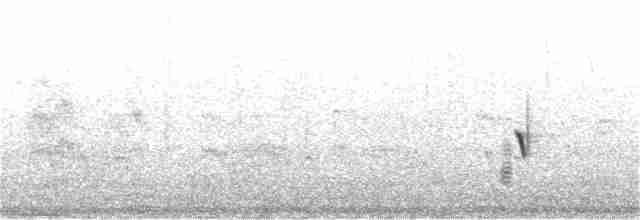 גיבתונית רוננת - ML167934561