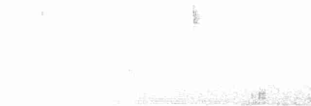 Arctic Warbler - ML167944691