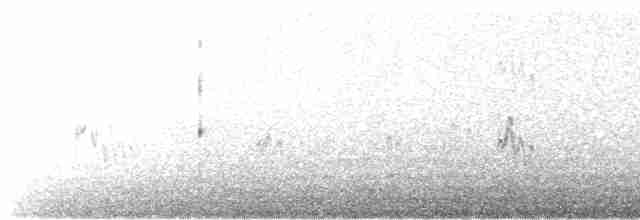 Aleutenseeschwalbe - ML167947021