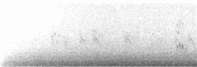 Aleutian Tern - ML167947041