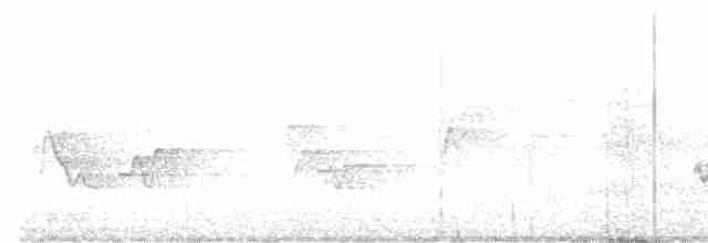 Cerulean Warbler - ML167947301