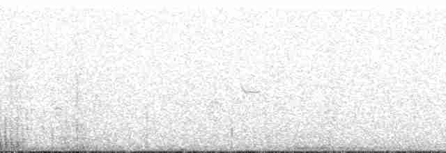 Вівсянчик сіроволий - ML167974