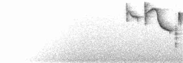 White-naped Brushfinch - ML167981431