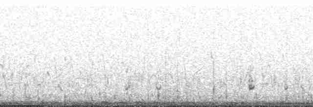 Гигантская лысуха - ML167984