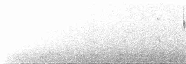 svartbrystalvesmett - ML167991681
