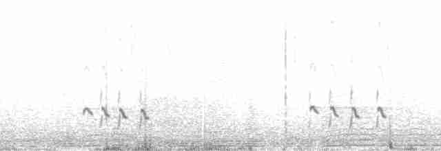 Whimbrel (Hudsonian) - ML167999