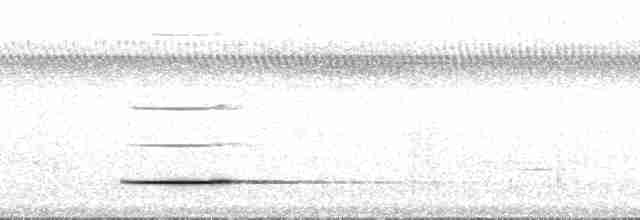Cinereous Tinamou - ML168035