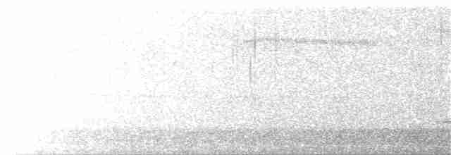 Hermit Thrush (faxoni/crymophilus) - ML168036641