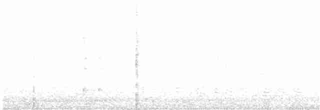 Кактусовый крапивник - ML168076291