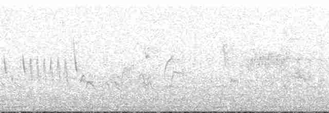 ネズミシラギクタイランチョウ - ML168102