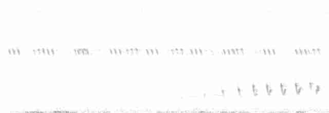Buff-collared Nightjar - ML168115501
