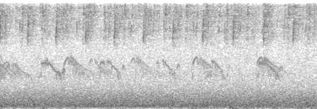 rorýs hnědohrdlý - ML168122