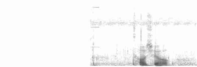 Травяная сипуха - ML168133121