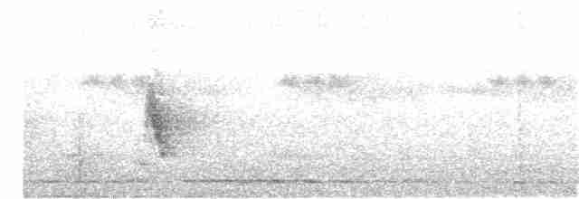 Краснохвостый шелкопёр - ML168135771