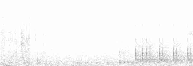 Желтобрюхий дятел-сокоед - ML168160151