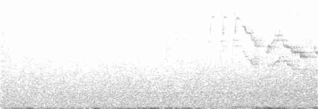 Пестрогорлый соловьиный дрозд - ML168160501