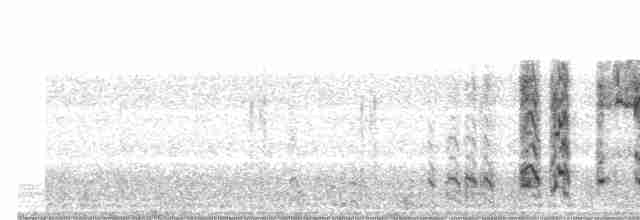 Белохвостая куропатка - ML168164431