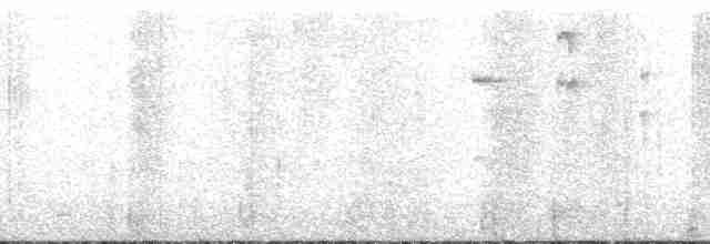 Common Chlorospingus (Northern Bolivia) - ML168166
