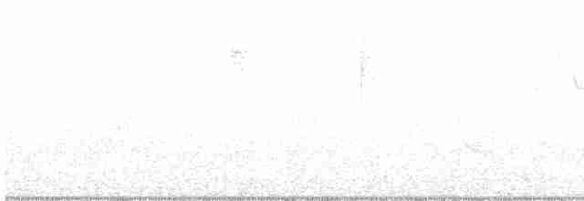 Hooded Warbler - ML168174891