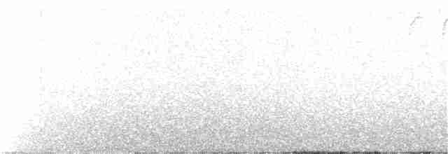 svarthetteparula - ML168186801
