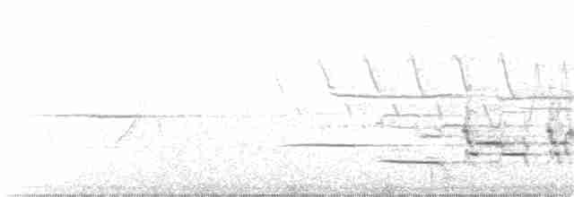 Münzevi Bülbül Ardıcı - ML168192061