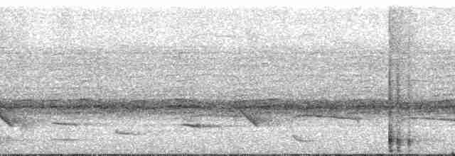 Amerika Jabirusu - ML168198