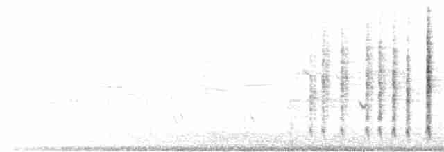 Chaparralgrasmücke - ML168216761