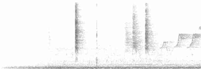 Common Yellowthroat - ML168221041