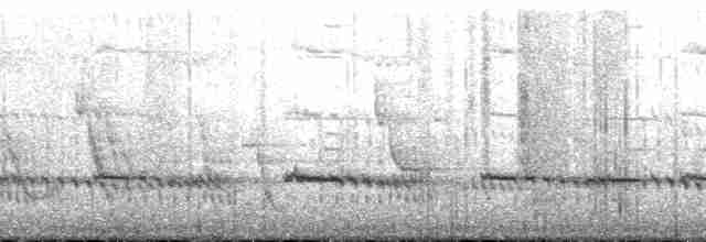 Striped Kingfisher - ML168233