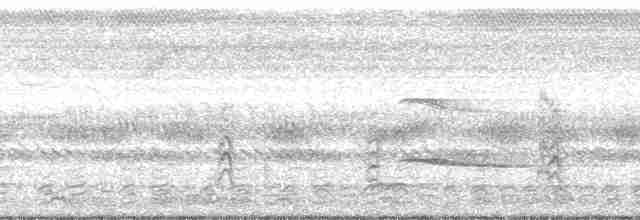 Fork-tailed Drongo (adsimilis Group) - ML168248